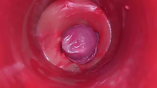 CAMERA INSIDE PUSSY&colon; POWERFULL CUM here PUSSY&excl; BEST Internal ASMR here 4K